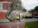 10_20_atlanta 003