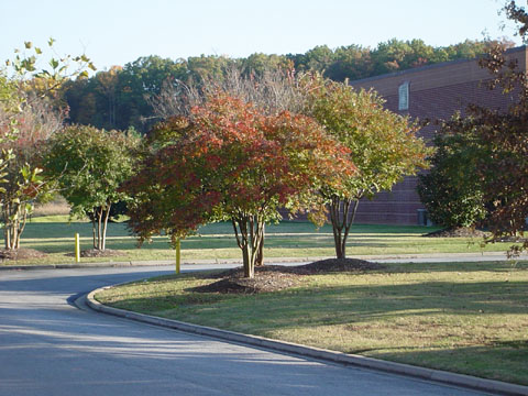 07_11_02 005