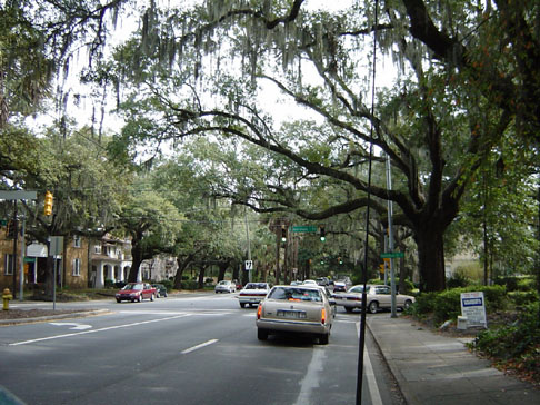 savannah_10_11_02 008