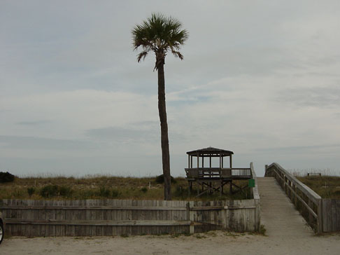 savannah_10_11_02 010