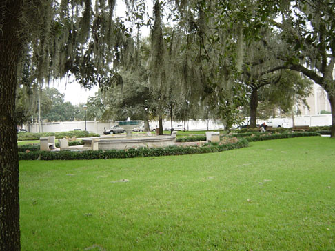 savannah_10_11_02 077