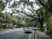 savannah_10_11_02 008
