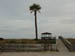 savannah_10_11_02 010