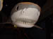 clemsonundcolumbia_nov_02 060