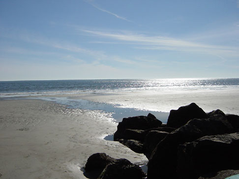 charleston_family 004