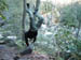 blue_rich_mountains 040