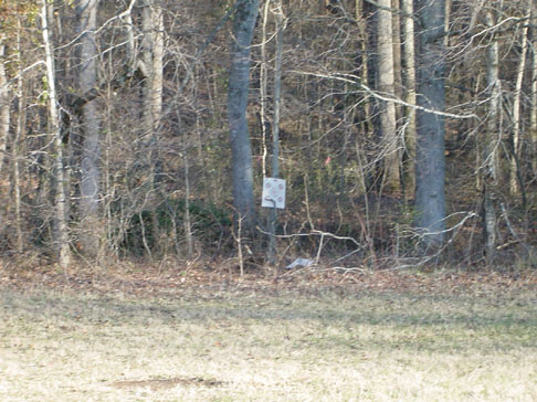 mardi_gras_and_us_sunday 042