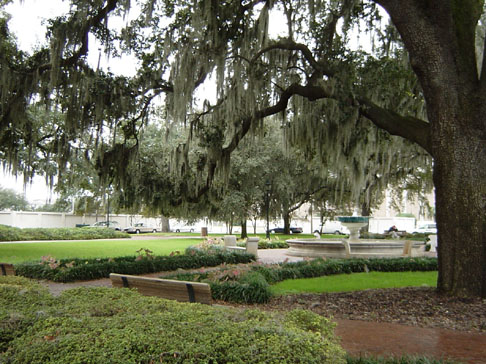 savannah_10_11_02 076