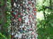 Carowings_21_09 010