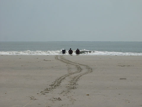 charleston_05_10 050