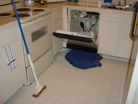 charleston_05_10 077