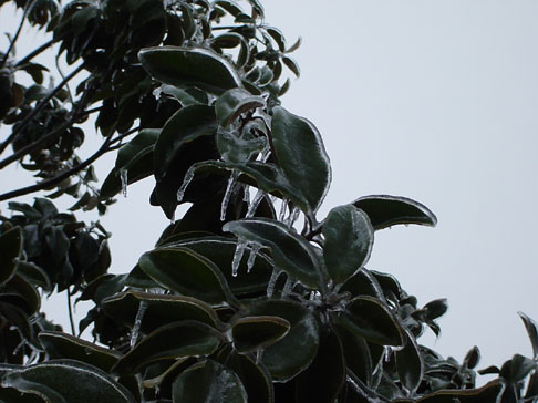 eisregen 013