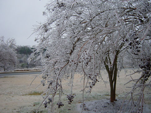 eisregen 018