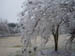 eisregen 018